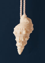 Load image into Gallery viewer, Shell Soap on a Rope
