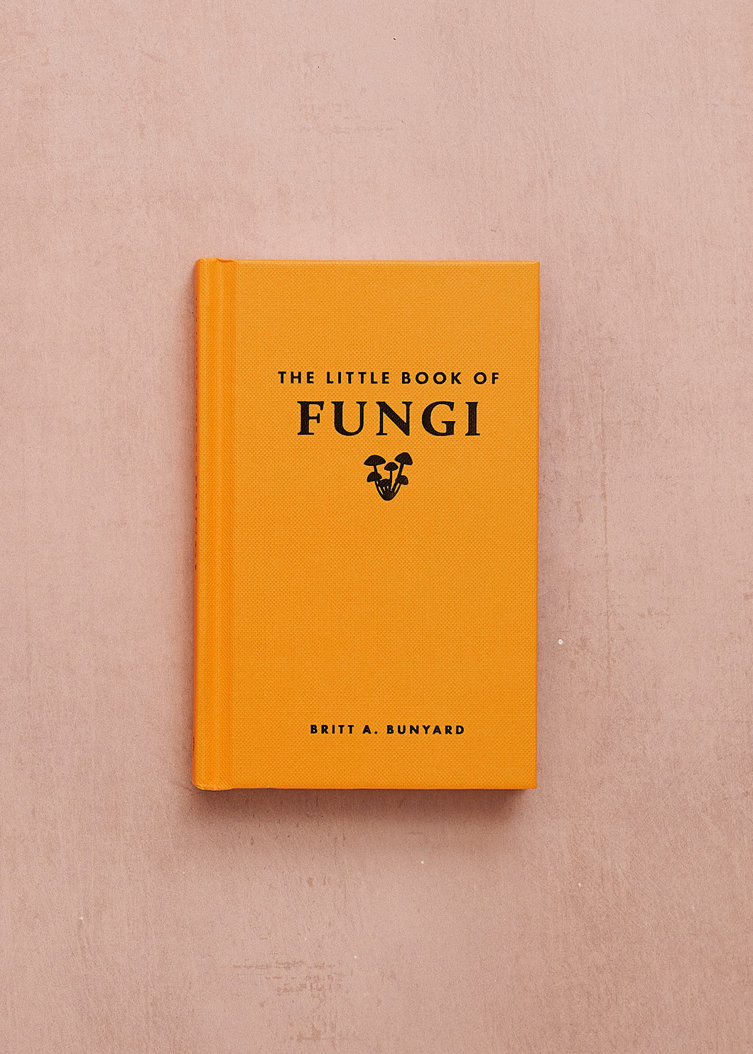 Little Book Of Fungi