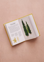 Load image into Gallery viewer, Little Book Of Trees
