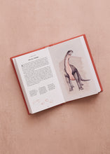 Load image into Gallery viewer, Little Book Of Dinosaurs
